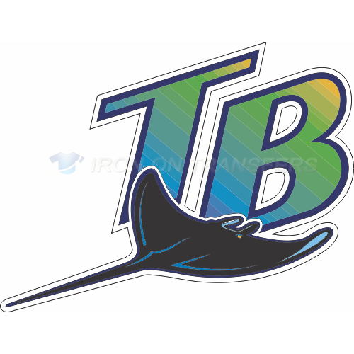 Tampa Bay Rays Iron-on Stickers (Heat Transfers)NO.1942